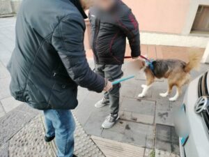 Stretta della Polizia locale di Catanzaro contro l’abbandono delle deiezioni canine