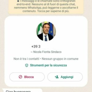 Chiede soldi col profilo del sindaco di Catanzaro, Nicola Fiorita denuncia la truffa