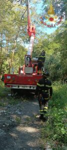 Recuperato dai vigili del fuoco un parapendista rimasto incastrato sulla cima di un albero