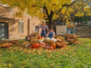 Cardinale, torna il “Pumpkin Village”: domenica 18 ottobre la seconda edizione della festa d’autunno dedicata alle famiglie