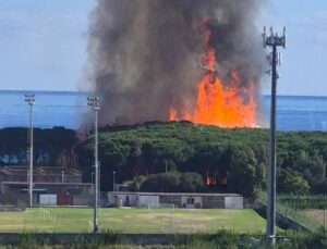 Fiamme a Satriano, in fumo la pineta marittima